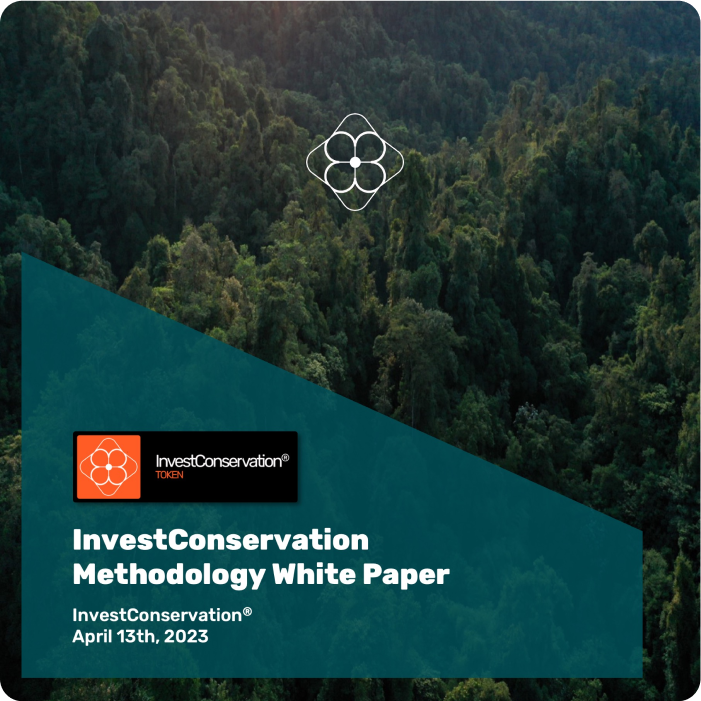 InvestConservation_Token_Report_April_Paper (1) [Auto-saved] 1