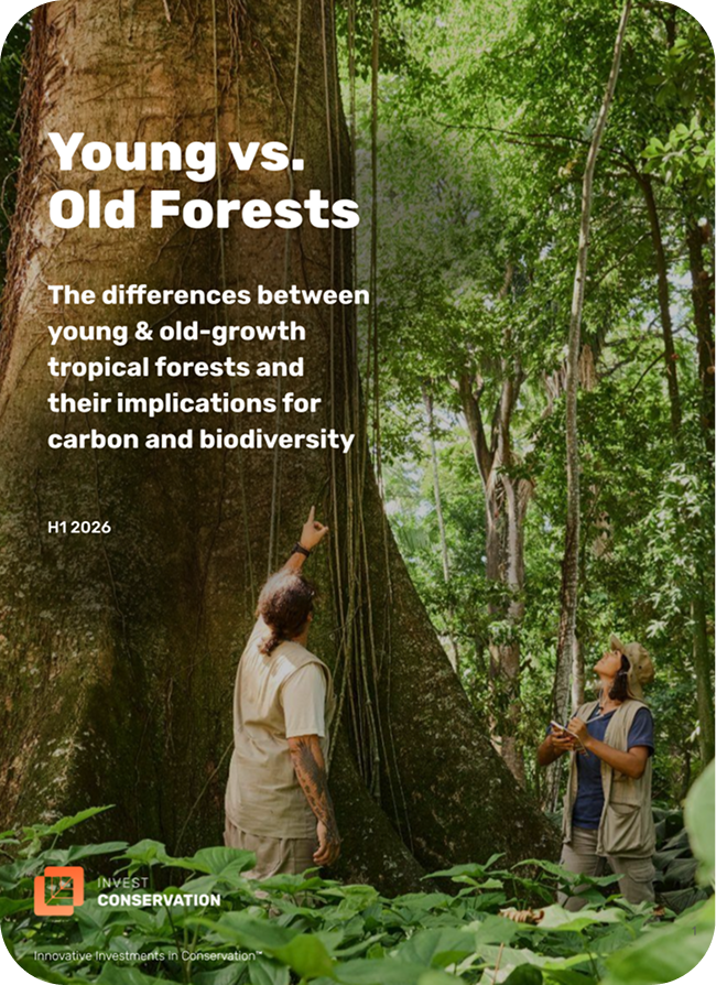 InvestConservation_Young vs. Old Forests Rounded