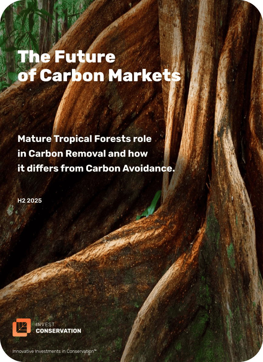 Understanding Removal vs. Avoidance in Carbon Markets 1 (1)
